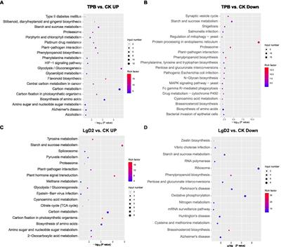 Endophyte-inoculated rhizomes of Paris polyphylla improve polyphyllin biosynthesis and yield: a transcriptomic analysis of the underlying mechanism